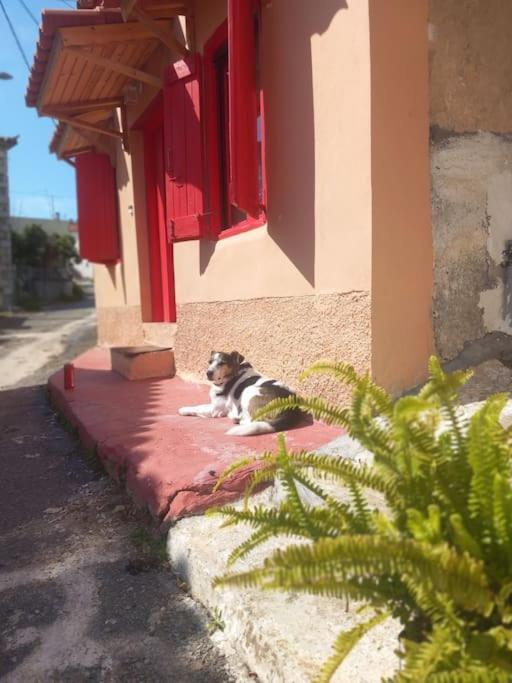 Semeli'S House Villa Longá Dış mekan fotoğraf